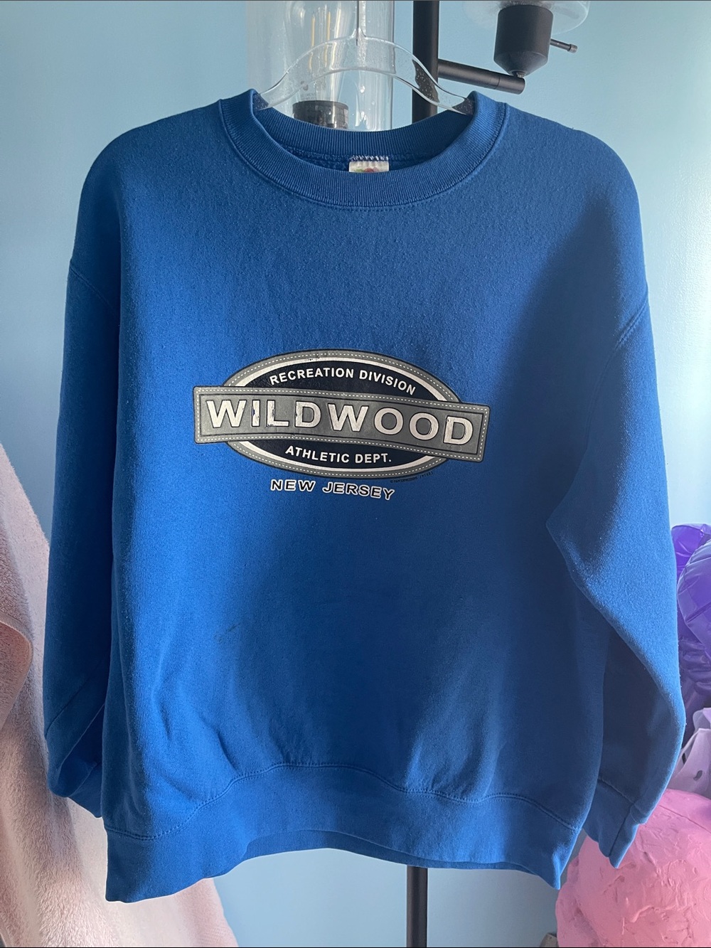Fruit of the Loom Royal Blue Crewneck Sweatshirt